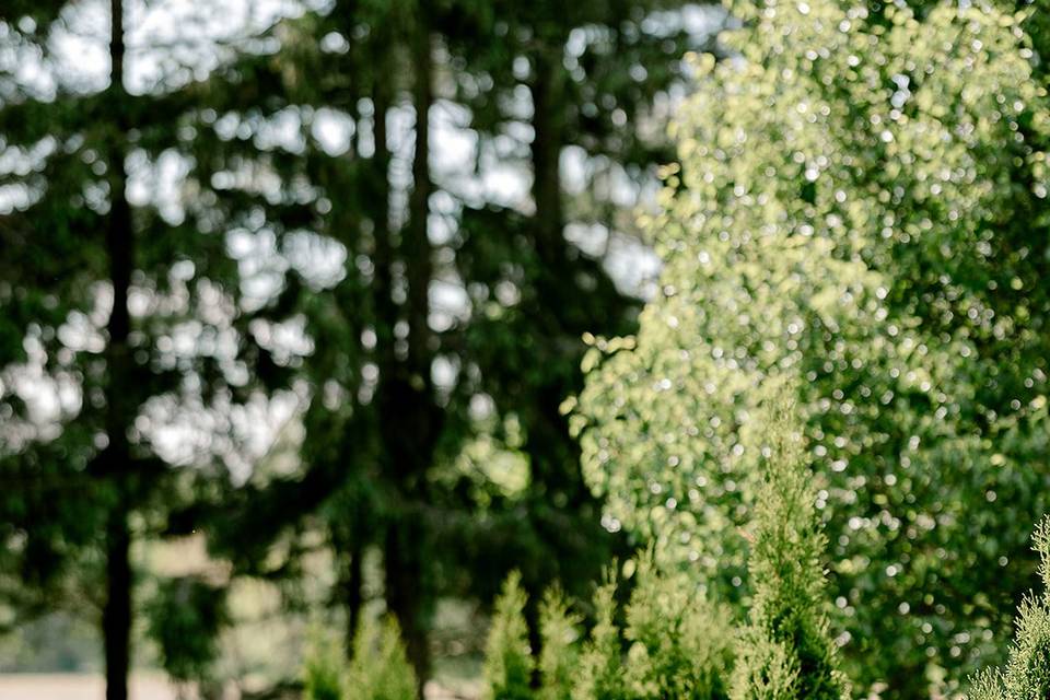 Gardens