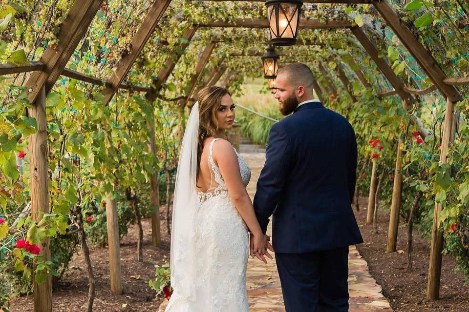 Vineyard wedding