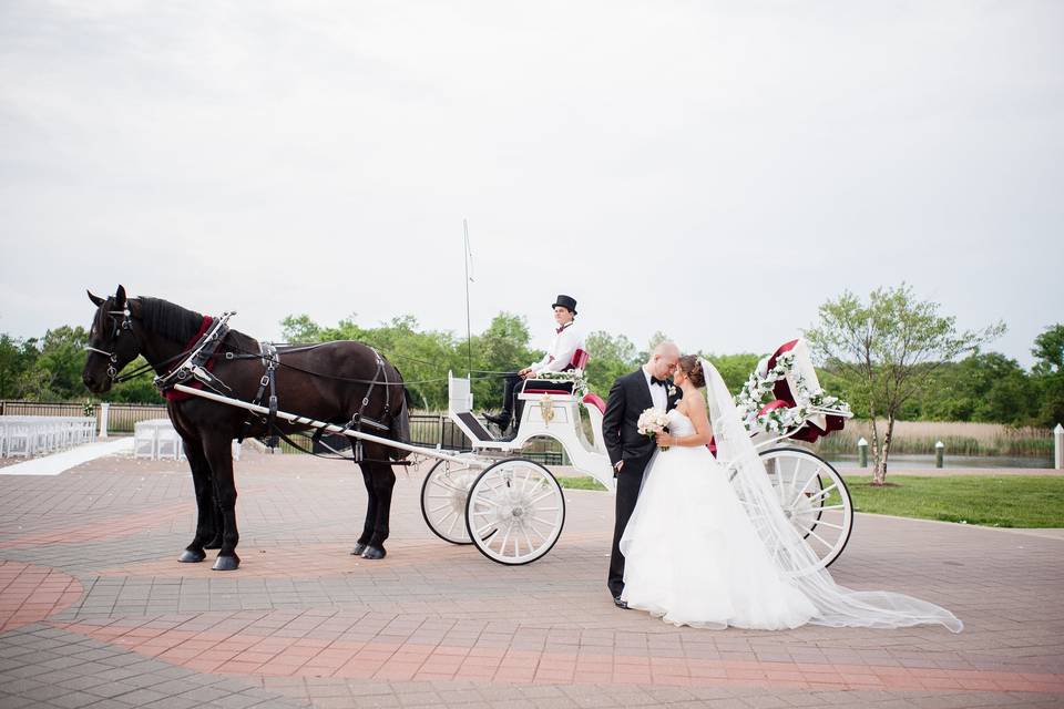 Carriage to love