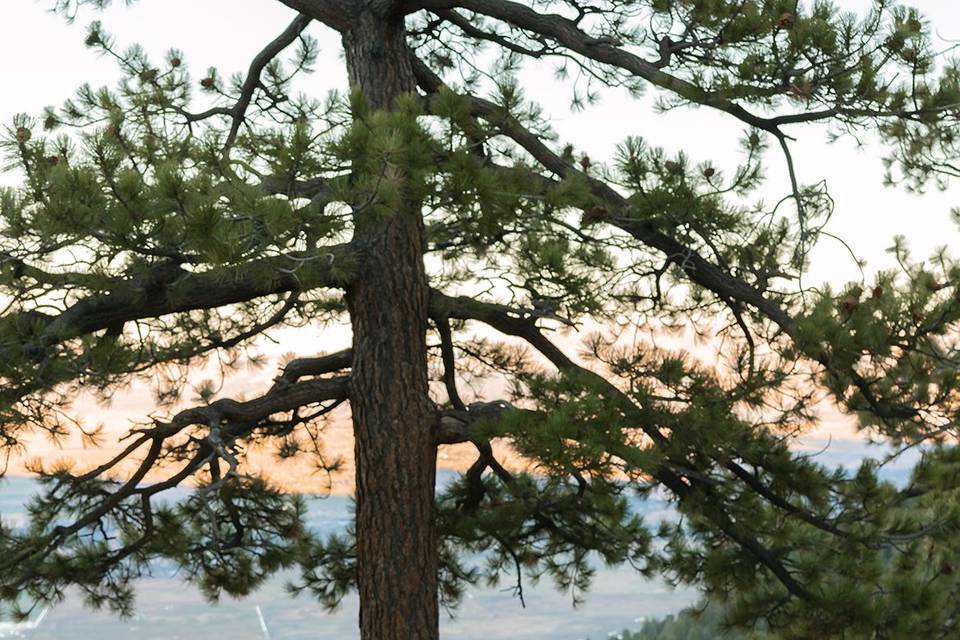 Say 'I Do' With Mountain Views