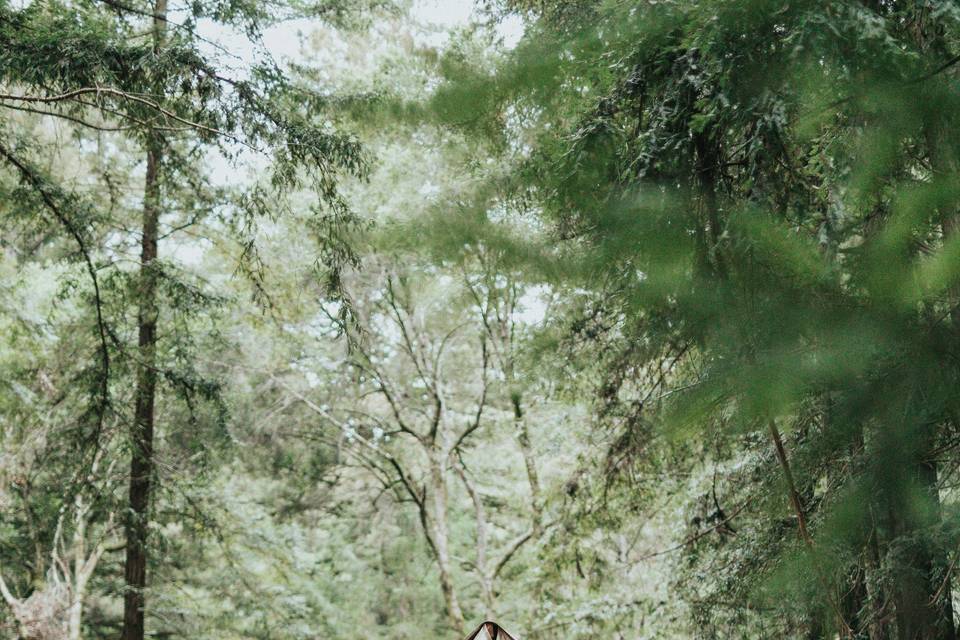 Unique Wedding & Honeymoons