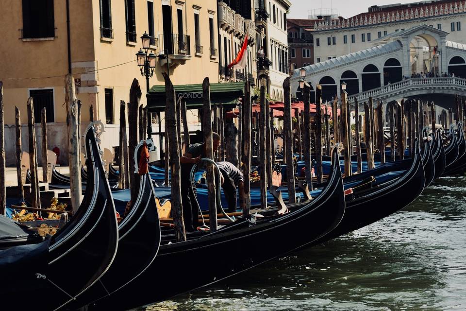 Venice - Gondolas