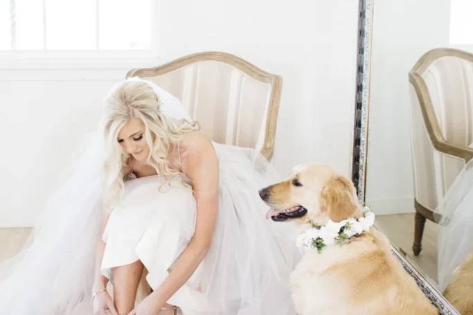 Luxe Wedding Photos