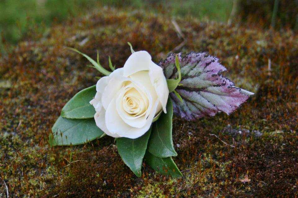 Boutonniere- Texas Blooms