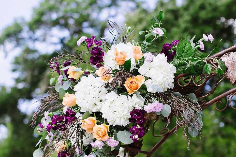 Texas Blooms