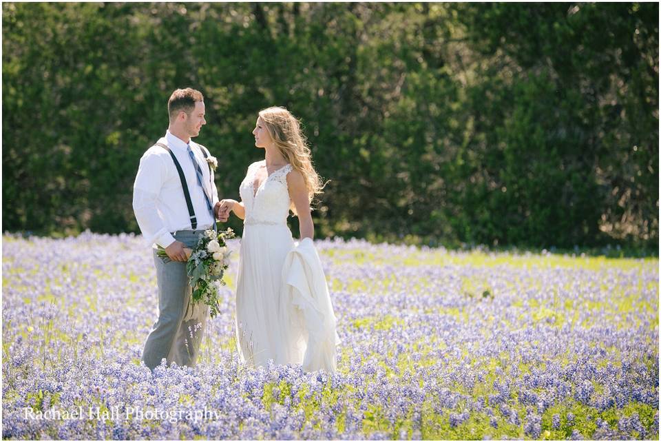 Wildflowers- Texas Blooms