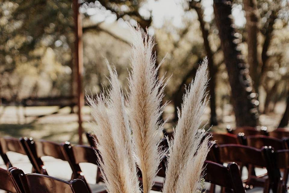 Pampas for aisle- Texas Blooms