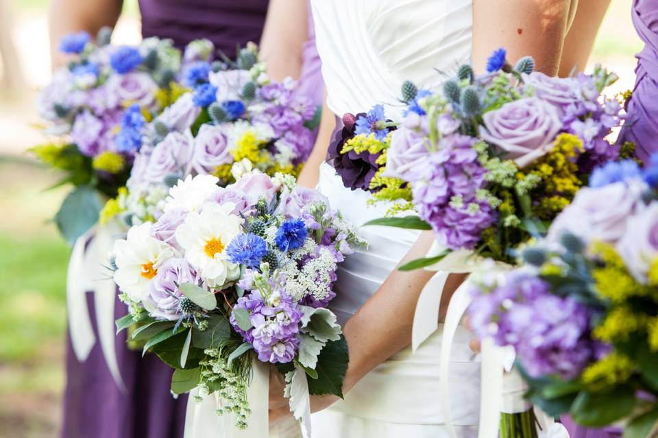 Lavender + white- Texas Blooms