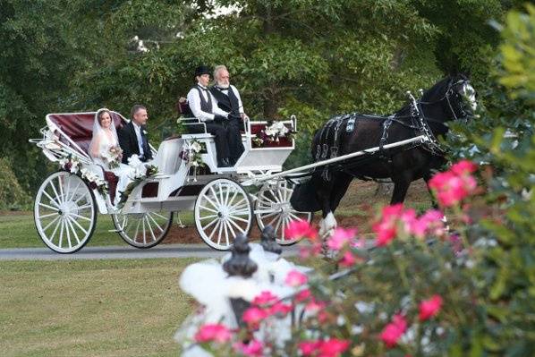 The Bride is arriving at the ceremony!