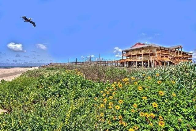Ocean Village Hotel & Resort