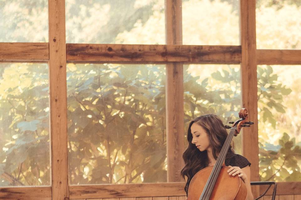 Adrienne, Cello
