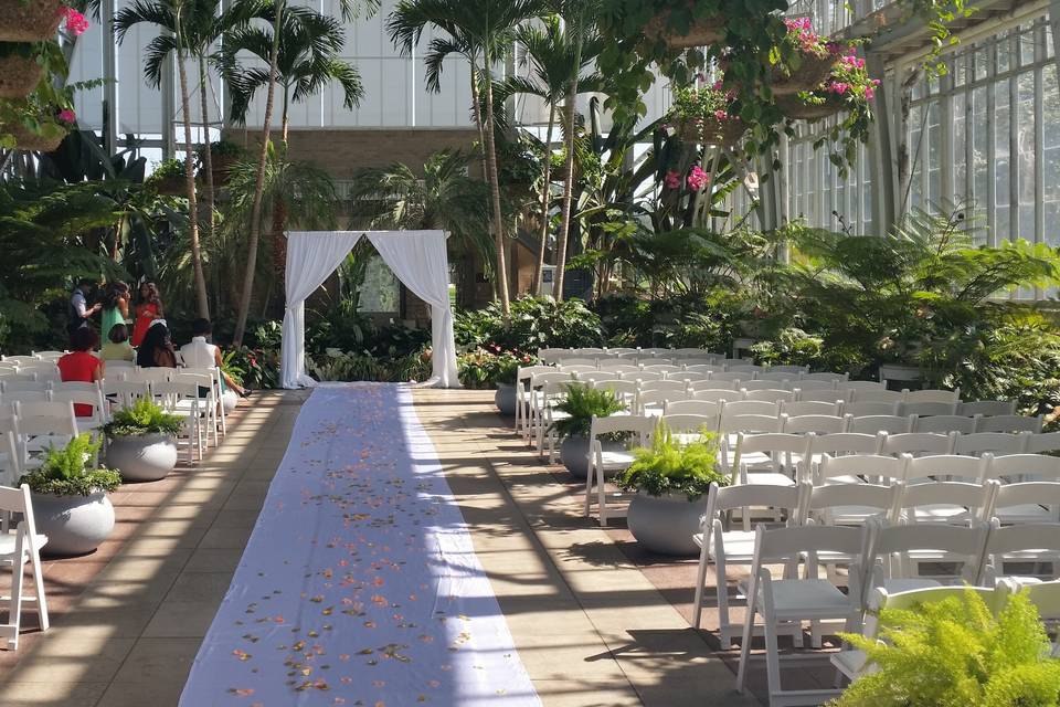 Tropical themed wedding