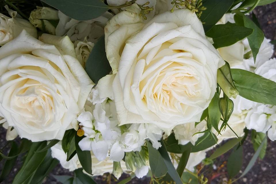 White roses