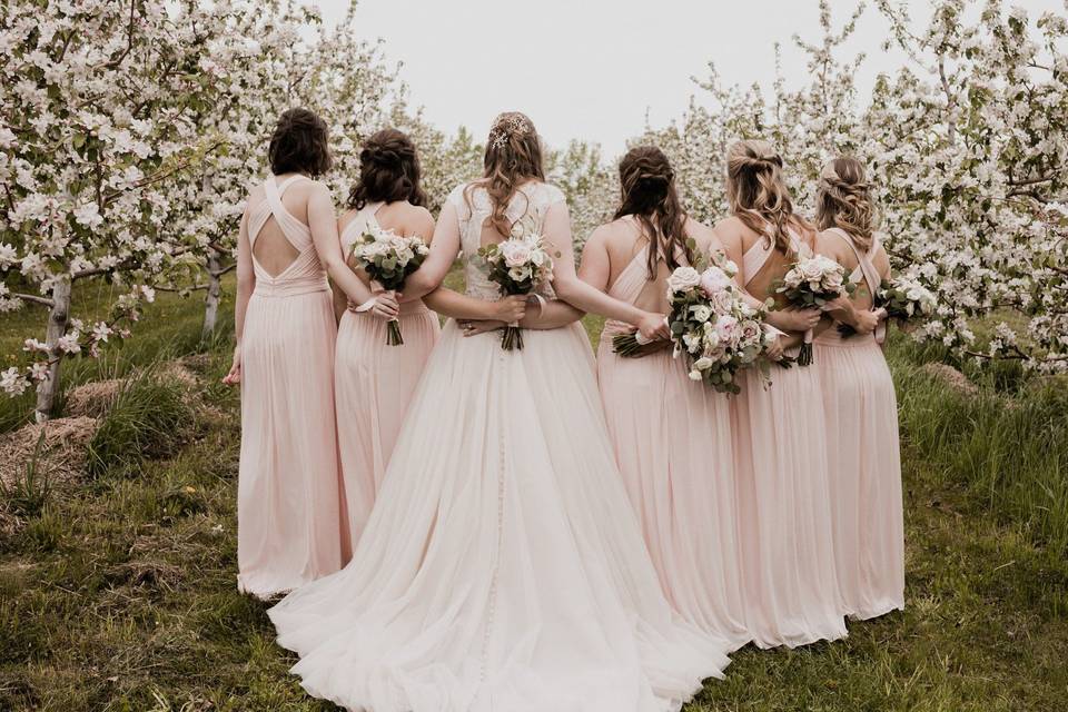 Bride and Bridesmaids