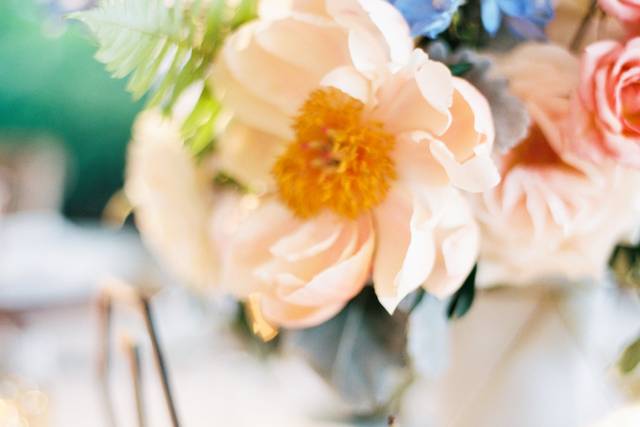 Kristin La Voie Photography