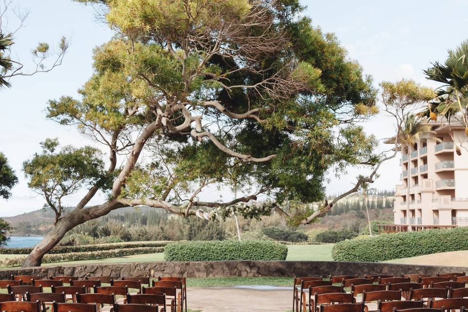 Pineapple Chapel