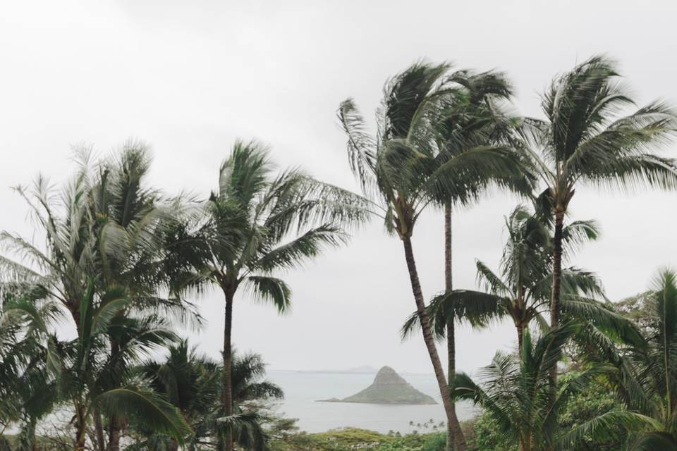 Kualoa Ranch