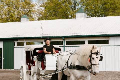 Horse and Carriage