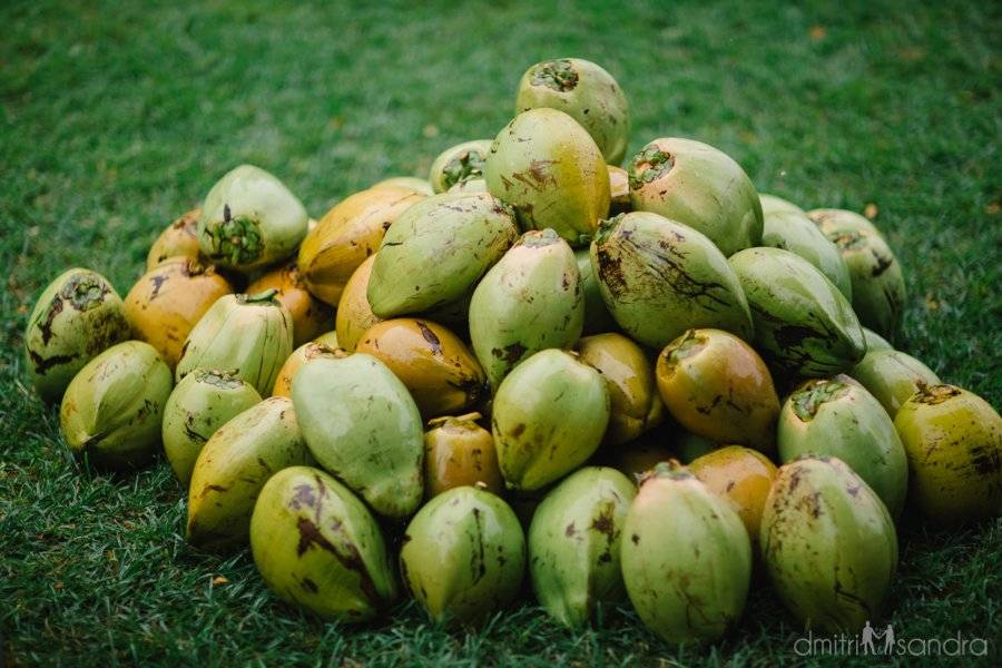 Coconuts