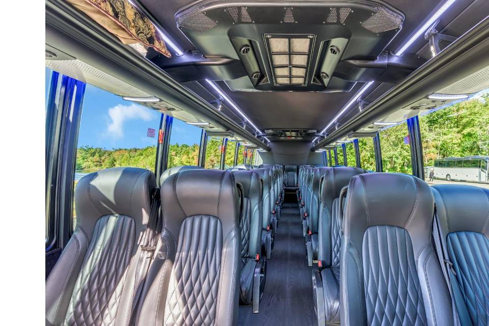 39 Passenger