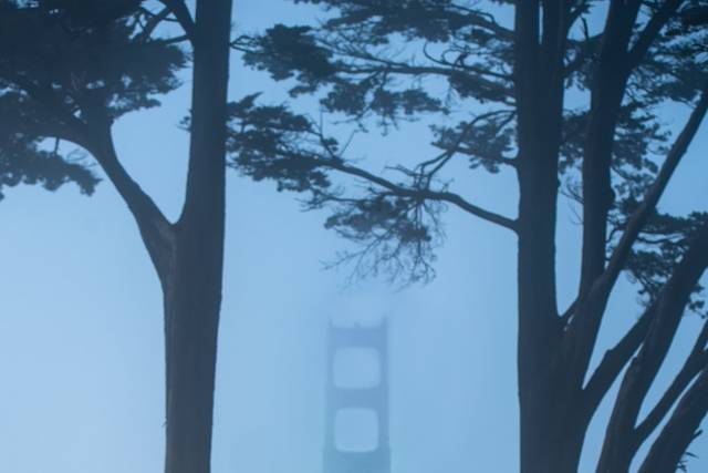 Golden Gate Engagement
