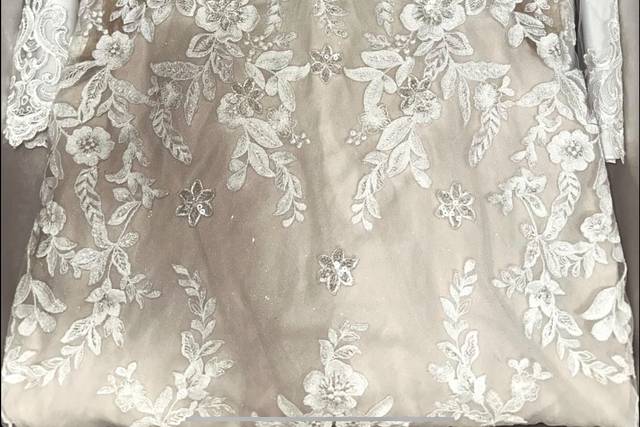 Ohio Gown Preservation