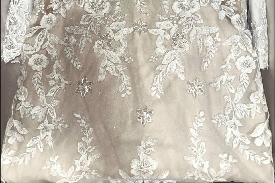 Ohio Gown Preservation