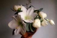 Best Buds Botanical
