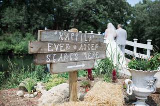 Stein Farms