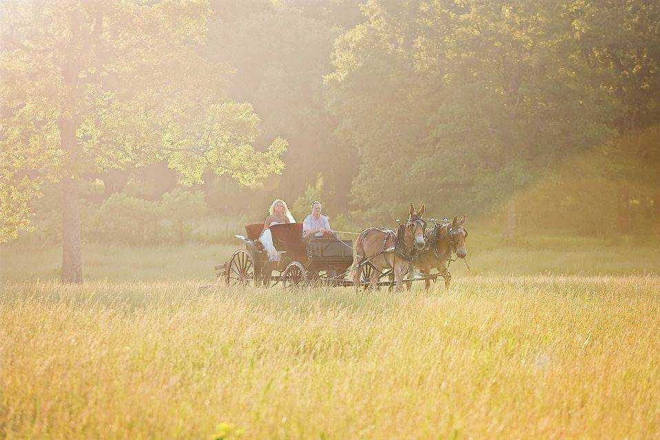 Riding a carriage