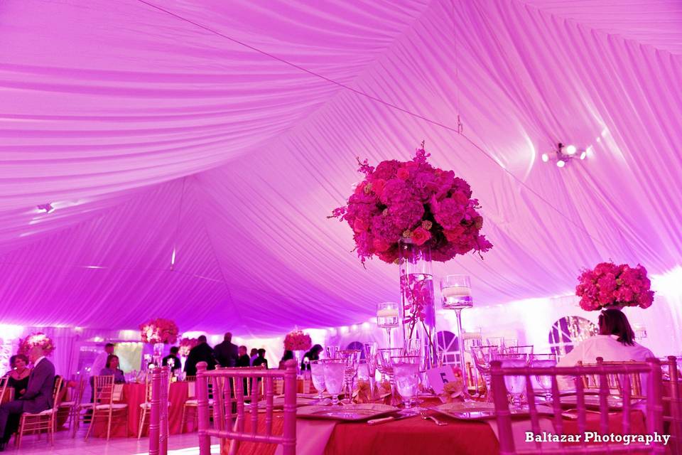 Pure Elegance Events