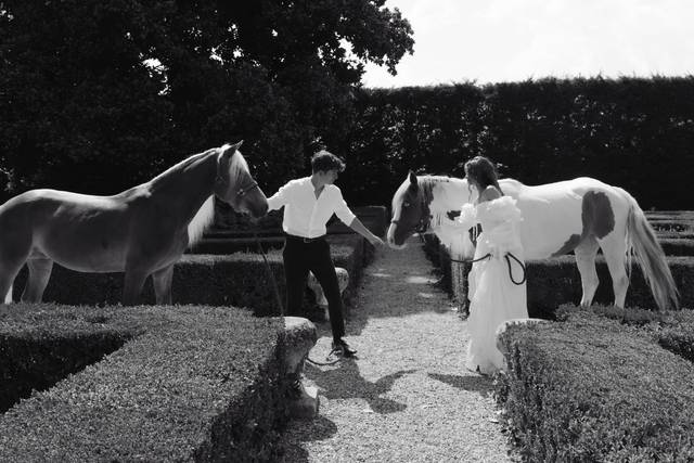 Bride and groom portraits