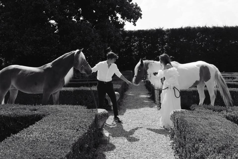 Bride and groom portraits
