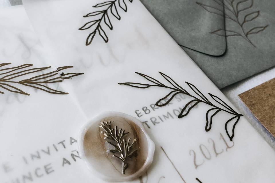 Vellum invitation jacket