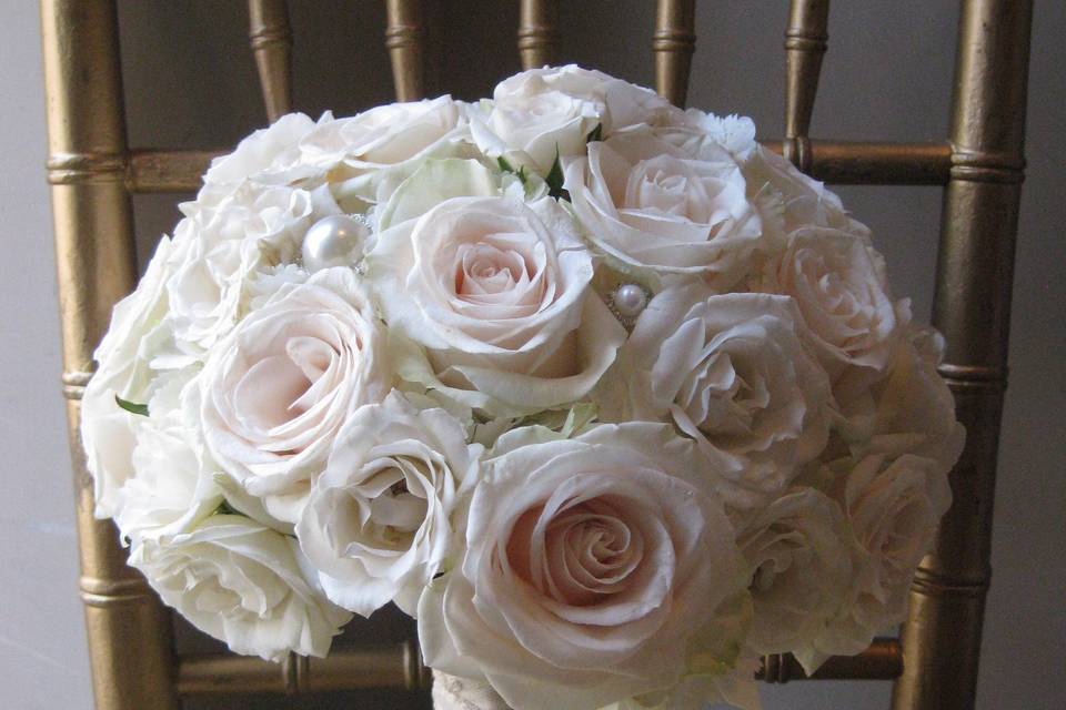 Pure white roses