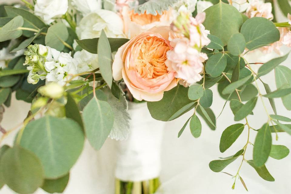 Peach roses and leaves