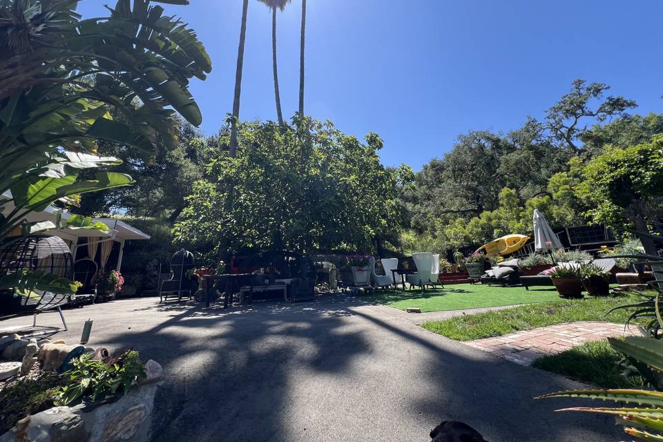 Topanga dreaming