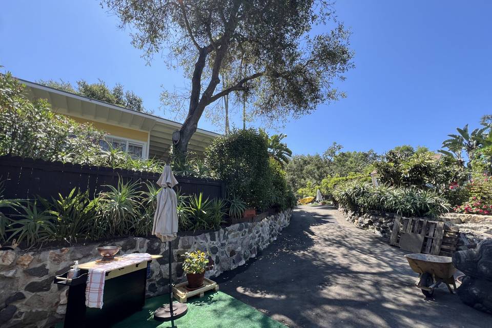Topanga dreaming