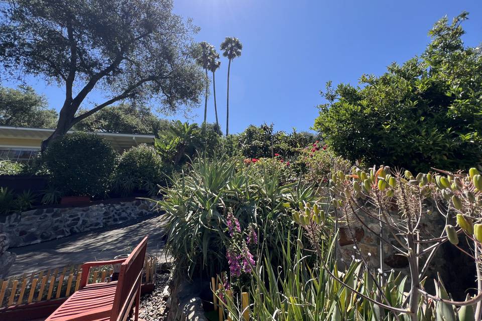 Topanga dreaming