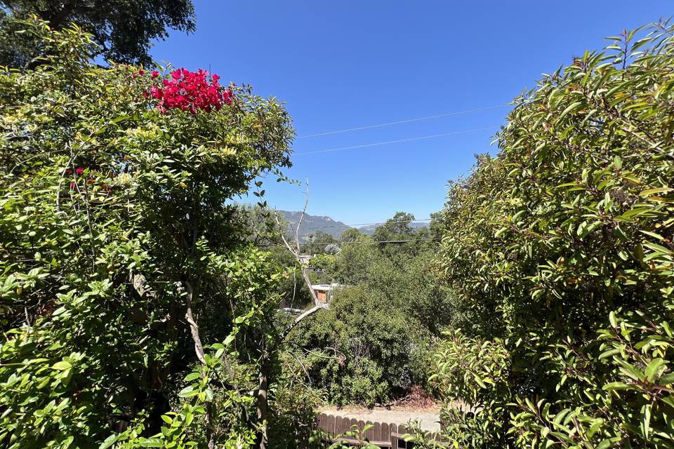 Topanga dreaming