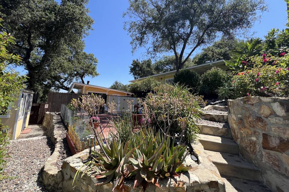 Topanga dreaming