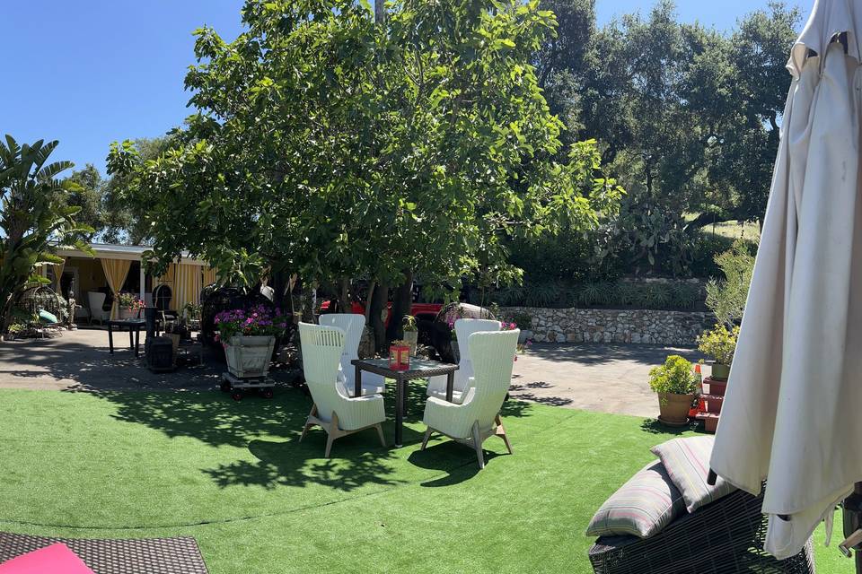 Topanga dreaming