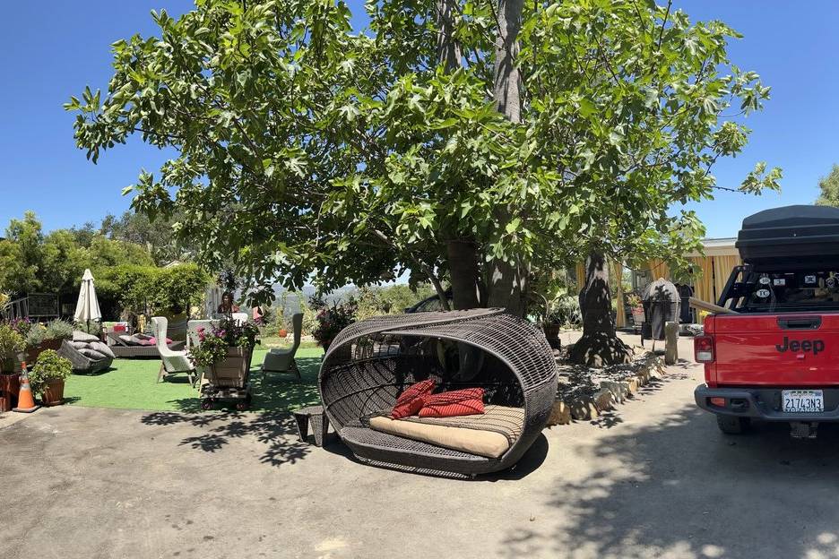 Topanga dreaming