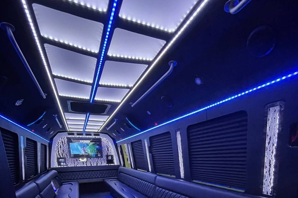 30 passenger party bus