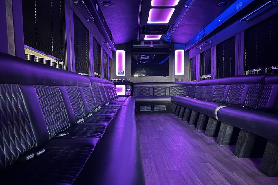 24 passenger party bus