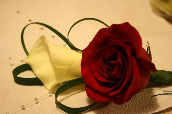 Roses and callalily