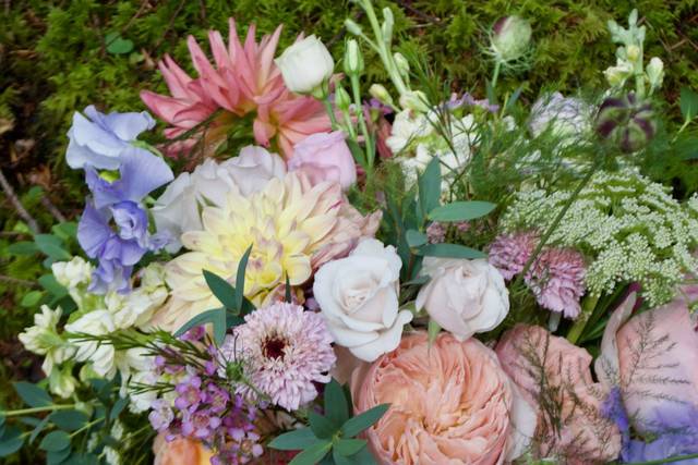 Dog Rose Designs