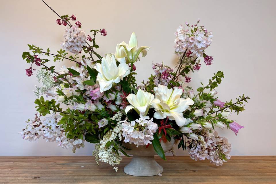 Dog Rose Designs