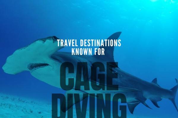Azure Horizons Travel