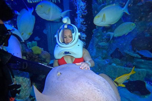 EB GLOBAL TRAVELS